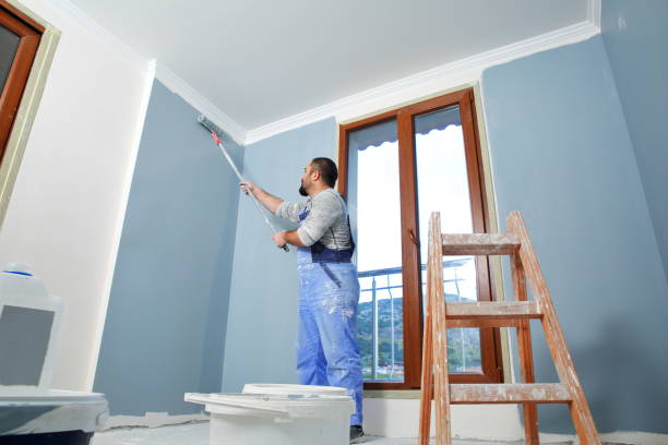Best Attic Mold Removal  in Lovell, WY