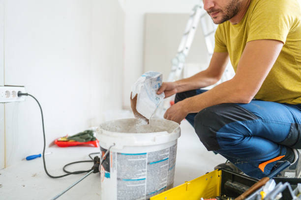 Best Basement Mold Removal  in Lovell, WY