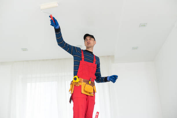 Best Real Estate Mold Inspection  in Lovell, WY