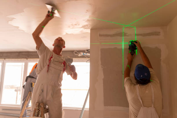 Best Biohazard Mold Removal  in Lovell, WY