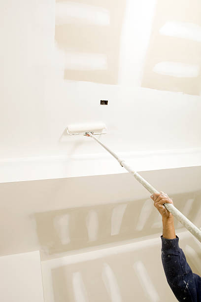 Reliable Lovell, WY Mold Removal Solutions