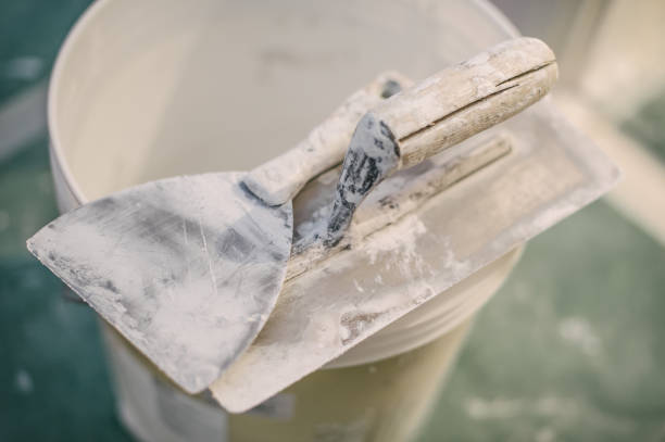 Biohazard Mold Removal in Lovell, WY
