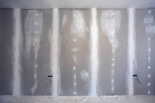Best Mold Remediation for Rental Properties  in Lovell, WY